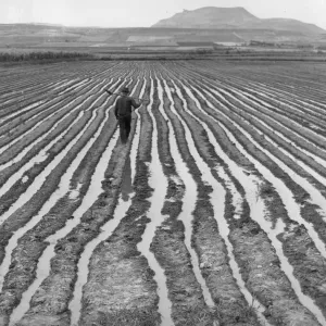 US Farm US Farm