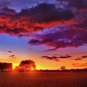Farm and field at sunset, Wisconsin