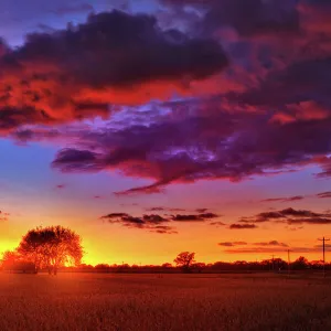 Farm and field at sunset, Wisconsin