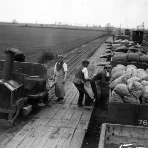 Farm Train Farm Train