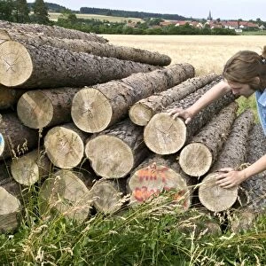 Farmer examining stacked logs