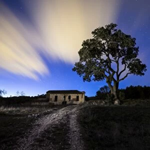 Farmhouse desatibada in ruins with a great oak of more than 200 years