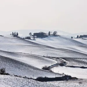 Images Dated 2012 February: 12 Feb 2012