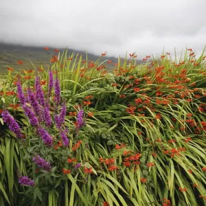 farming: CB2, clouds: CB2, sky: CB2, county: CB2, wildflowers: CB2, landscape: CB2, valley: CB2 farming: CB2, clouds: CB2, sky: CB2, county: CB2, wildflowers: CB2, landscape: CB2, valley: CB2