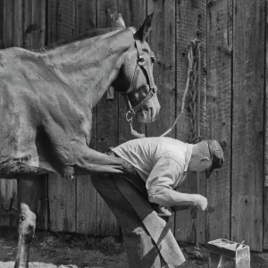 Hulton Archive Collection: Timeless Frames: The FPG Legacy