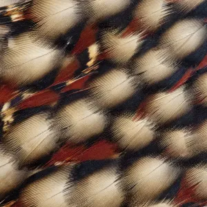 Cabot's Tragopan Feather Design Print Cabot's Tragopan Feather Design Print