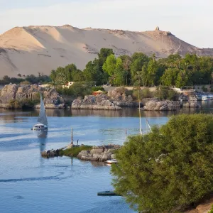 Felucca Sailboats on River Nile, Aswan, Egypt