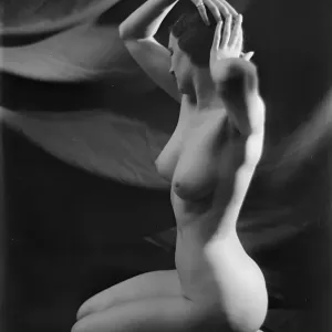 The Female Form The Female Form