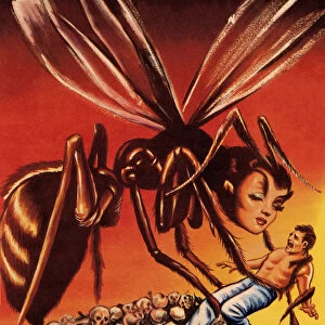Female Hornet and Man