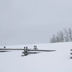 Fence buried in deep snow, Uncompahgre National Forest, Colorado, USA