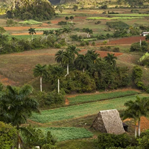 Fields and farms in valley, Vinales, Cuba