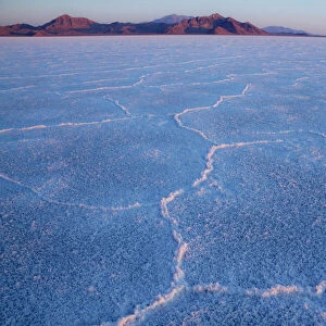 First light on Bonneville Salt Flats near the Utah-Nevada border. The morning light highlights the delicate colors of the salt crystal patterns that form on the crust of the surface