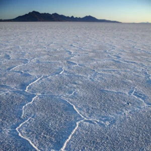 First light on the salt crust of Bonneville Salt Flats near the Utah - Nevada border, USA