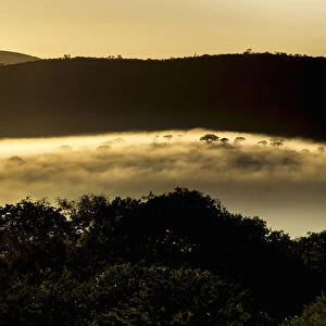 First light of sunrise illuminates the landscape, Hluhluwe Umfilozi Game Reserve, KwaZulu-Natal Province, South Africa