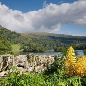 First Sign of Autumn in Lake District First Sign of Autumn in Lake District