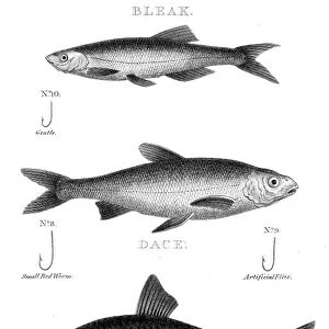 Fish hooks engraving 1812