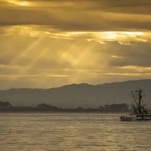Fishing Boat Fishing Boat