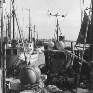 Fishing Tackle Fishing Tackle