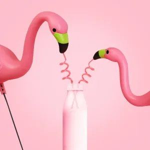 Two flamingos drinking from straws in a bottle Two flamingos drinking from straws in a bottle