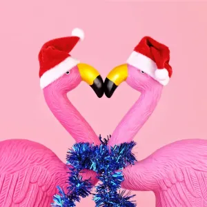 Flamingos in Santa hats Flamingos in Santa hats