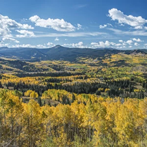 Flat Tops Wilderness Area, Routt National Forest, Colorado, USA