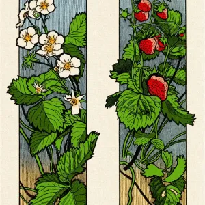 Print of Art Nouveau Floral Ornament with Strawberry and Blossom