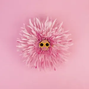 Flower head Flower head