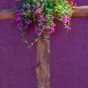 Flowers on side of building at Waterton Lakes Canada