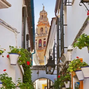Flowers street at Cordoba Spain Flowers street at Cordoba Spain