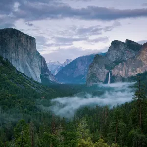 Flowing Fog Tunnel View Print, Yosemite National Park Flowing Fog Tunnel View Print, Yosemite National Park