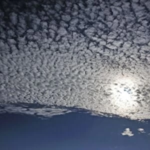 Fluffy clouds or cirrocumulus clouds, with the sun, Bentin, Rognitz, Mecklenburg-Western Pomerania, Germany