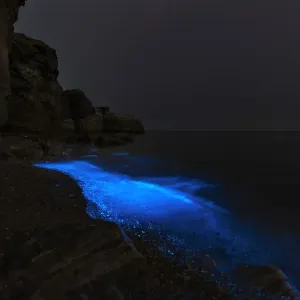 Fluorescent beach In Yellow Sea Fluorescent beach In Yellow Sea
