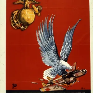 Fly With The Marines Fly With The Marines
