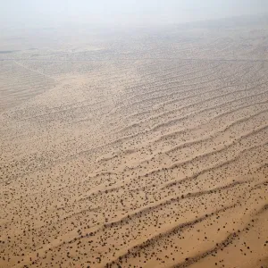 Desert Landscape Print Desert Landscape Print