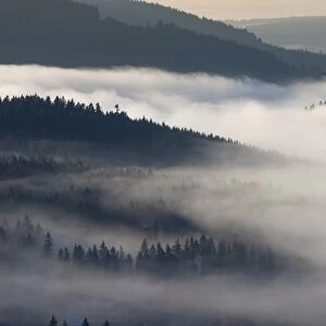 Fog in the Black Forest above Schluchsee Lake, Breisgau in the Black Forest, Baden-Wuerttemberg, Germany, Europe