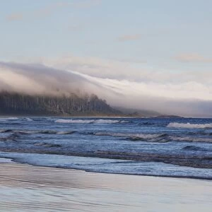 Fog Forms Over The Temperate Rainforest Along Long Beach In Pacific Rim National Park Near Tofino; British Columbia Canada