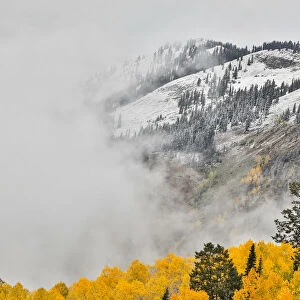 Fog Rolling on Mountain Surrounded by autumn colors, Crested Butte, Colorado, USA
