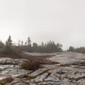 Foggy landscape panorama