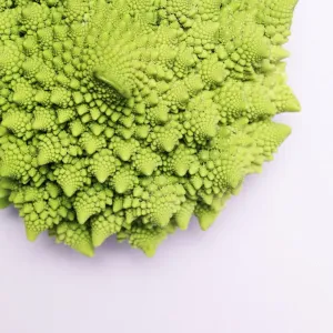 Romanesco Cauliflower Print Romanesco Cauliflower Print