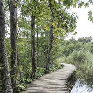 footpath - nationalpark plitzvicer lakes