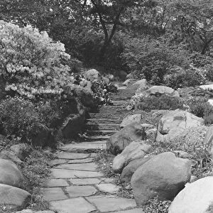 Footpath in rock garden, (B&W)