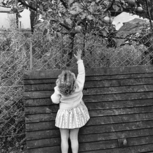 Fruta Prohibida; Una joven niña se esfuerza por recoger una manzana del árbol. Fruta Prohibida; Una joven niña se esfuerza por recoger una manzana del árbol.