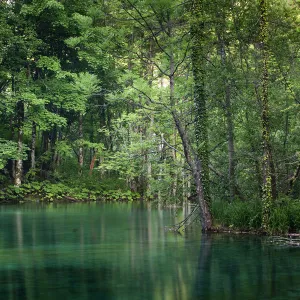 Forest lake, Plitvice Lakes National Park, UNESCO World Heritage Site, Croatia, Europe