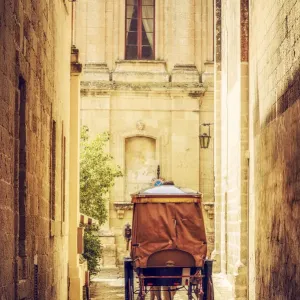 The fortified village of Mdina The fortified village of Mdina