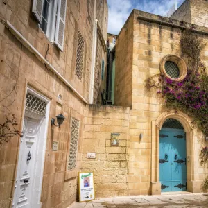 The fortified village of Mdina