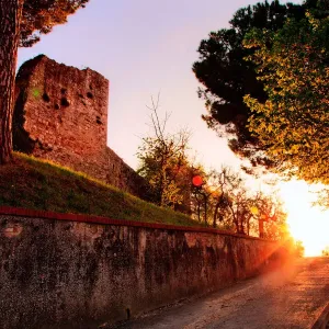 Fortress Fortress