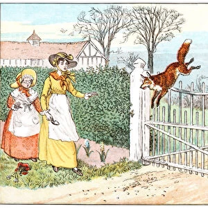 Fox jumping over a gate