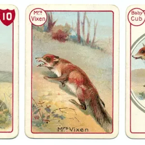 Three Foxes Playing Cards Print, Chromolithography Three Foxes Playing Cards Print, Chromolithography
