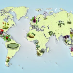 Freaky Flora map Freaky Flora map