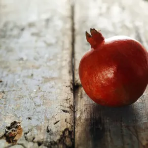 Fruit Fruit